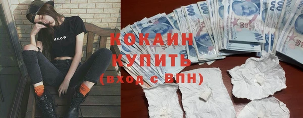 герыч Пересвет