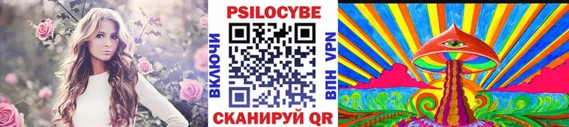 цена наркотик Нарьян-Мар Галлюциногенные грибы Psilocybe
